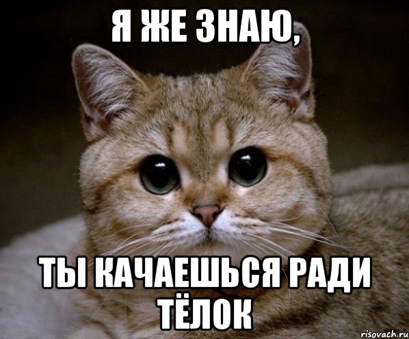я же знаю, ты качаешься ради тёлок, Мем Пидрила Ебаная