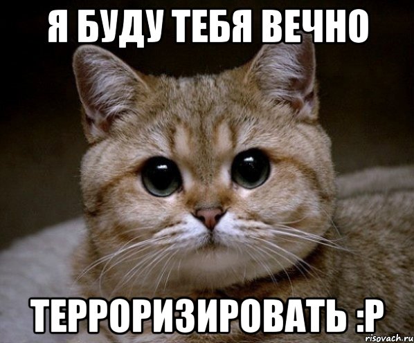 я буду тебя вечно терроризировать :р, Мем Пидрила Ебаная