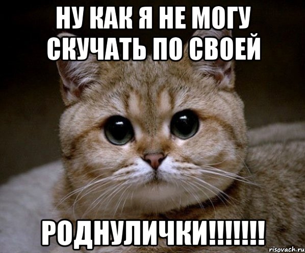 ну как я не могу скучать по своей роднулички!!!, Мем Пидрила Ебаная