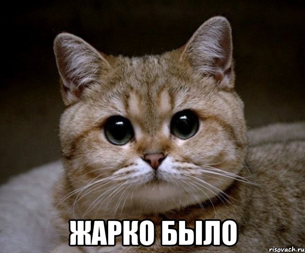  жарко было, Мем Пидрила Ебаная