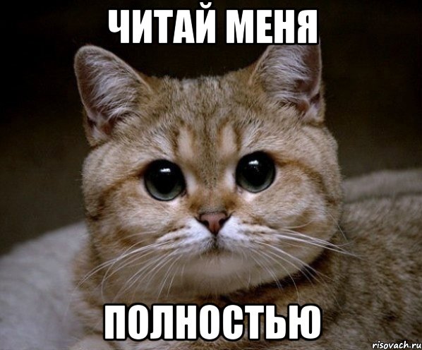 читай меня полностью, Мем Пидрила Ебаная