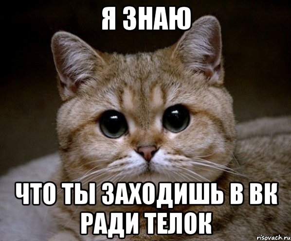 я знаю что ты заходишь в вк ради телок, Мем Пидрила Ебаная