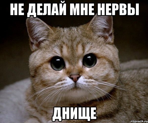 не делай мне нервы днище, Мем Пидрила Ебаная