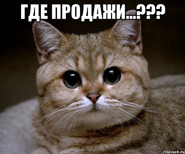 где продажи...??? , Мем Пидрила Ебаная