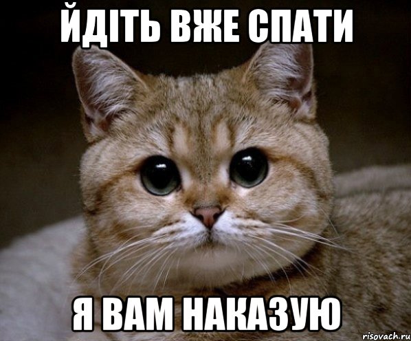 йдіть вже спати я вам наказую, Мем Пидрила Ебаная