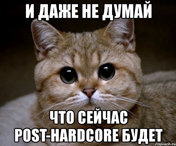 и даже не думай что сейчас post-hardcore будет, Мем Пидрила Ебаная