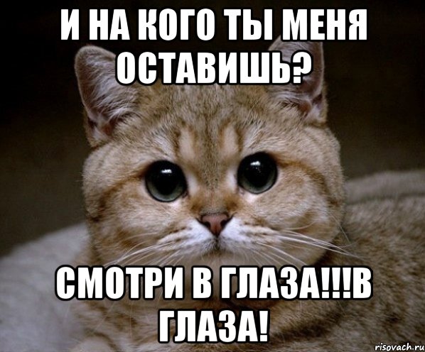 и на кого ты меня оставишь? смотри в глаза!!!в глаза!, Мем Пидрила Ебаная