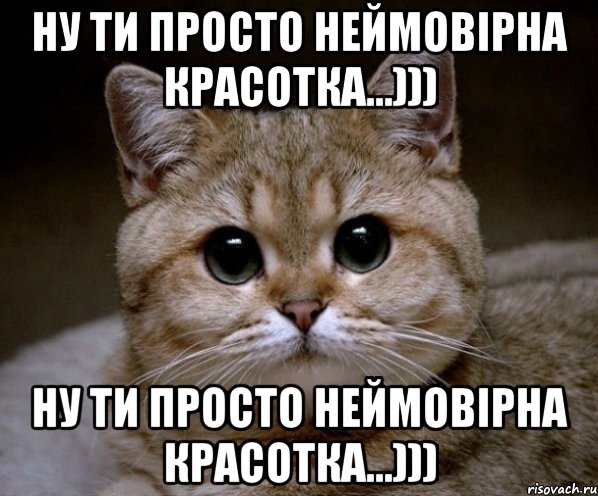 ну ти просто неймовірна красотка...))) ну ти просто неймовірна красотка...))), Мем Пидрила Ебаная