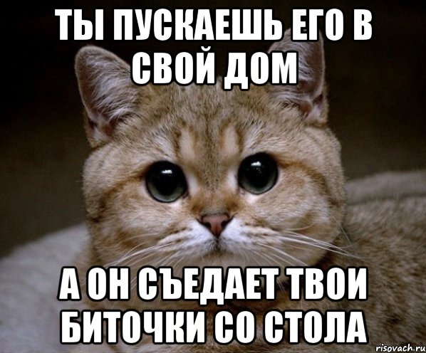 ты пускаешь его в свой дом а он съедает твои биточки со стола, Мем Пидрила Ебаная