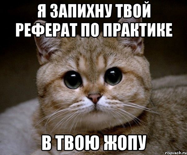 я запихну твой реферат по практике в твою жопу, Мем Пидрила Ебаная