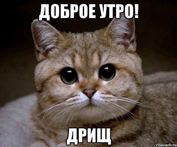 доброе утро! дрищ, Мем Пидрила Ебаная