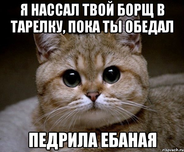 я нассал твой борщ в тарелку, пока ты обедал педрила ебаная, Мем Пидрила Ебаная