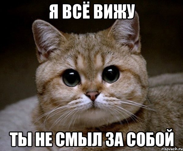 я всё вижу ты не смыл за собой, Мем Пидрила Ебаная