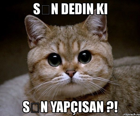 sən dedin ki sən yapçısan ?!, Мем Пидрила Ебаная