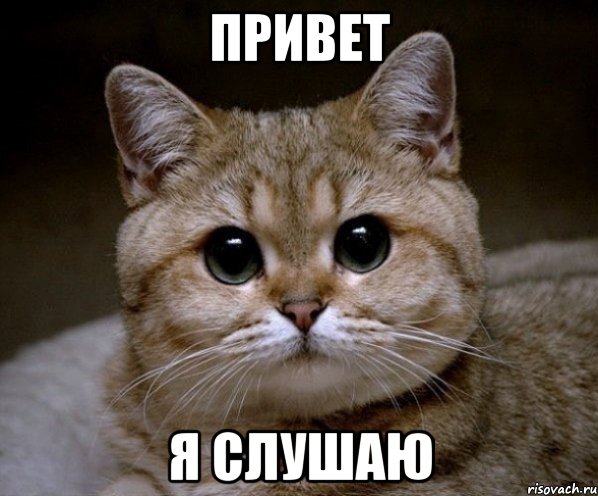 привет я слушаю, Мем Пидрила Ебаная