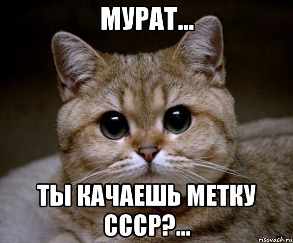 мурат... ты качаешь метку ссср?..., Мем Пидрила Ебаная