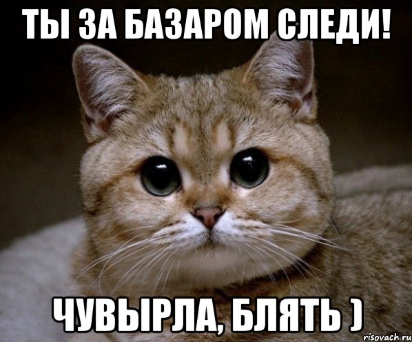 ты за базаром следи! чувырла, блять ), Мем Пидрила Ебаная