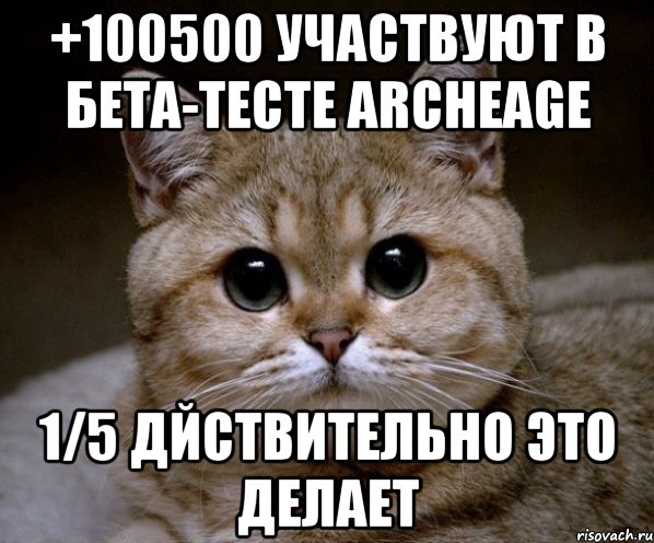 +100500 участвуют в бета-тесте archeage 1/5 дйствительно это делает, Мем Пидрила Ебаная