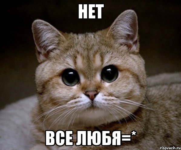 нет все любя=*, Мем Пидрила Ебаная