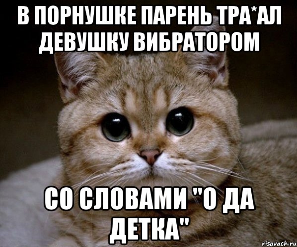 в порнушке парень тра*ал девушку вибратором со словами "о да детка", Мем Пидрила Ебаная