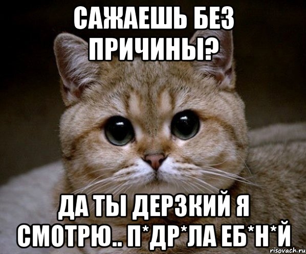 сажаешь без причины? да ты дерзкий я смотрю.. п*др*ла еб*н*й, Мем Пидрила Ебаная