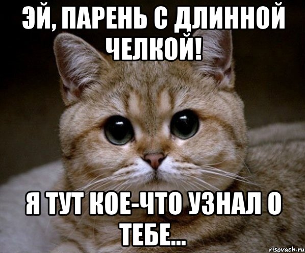 эй, парень с длинной челкой! я тут кое-что узнал о тебе..., Мем Пидрила Ебаная