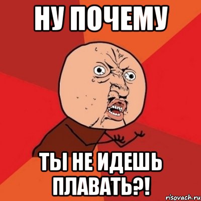 ну почему ты не идешь плавать?!, Мем Почему