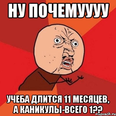 ну почемуууу учеба длится 11 месяцев, а каникулы-всего 1??, Мем Почему