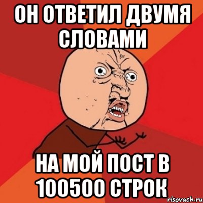 он ответил двумя словами на мой пост в 100500 строк, Мем Почему