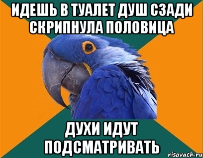 идешь в туалет душ сзади скрипнула половица духи идут подсматривать, Мем Попугай параноик