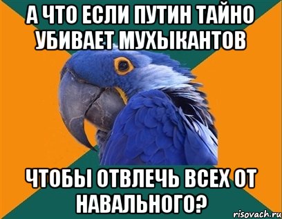 а что если путин тайно убивает мухыкантов чтобы отвлечь всех от навального?, Мем Попугай параноик