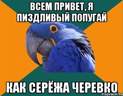 всем привет, я пи3дливый попугай как серёжа черевко, Мем Попугай параноик