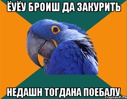 ёуёу броиш да закурить недашн тогдана поебалу, Мем Попугай параноик