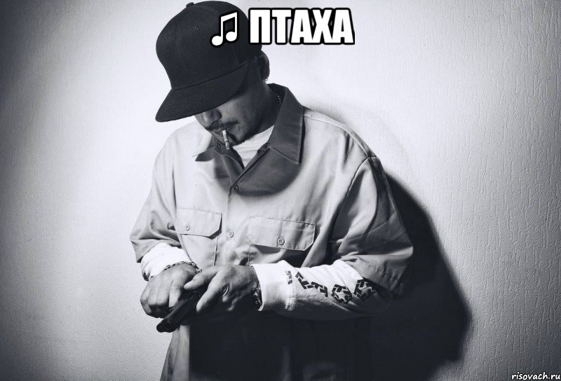 ♫ птаха , Мем пппп