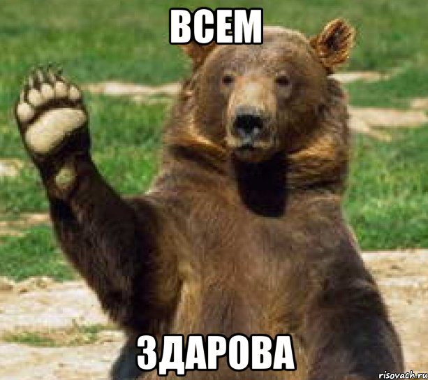 всем здарова, Мем прощайте