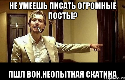 не умеешь писать огромные посты? пшл вон,неопытная скатина, Мем Пшел вон 2