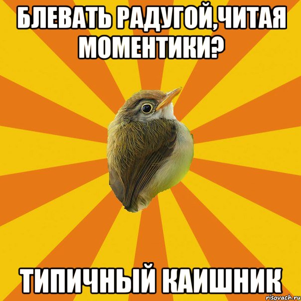 блевать радугой,читая моментики? типичный каишник, Мем Птичка