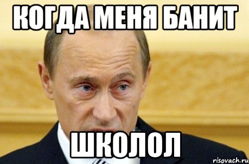 когда меня банит школол, Мем путин