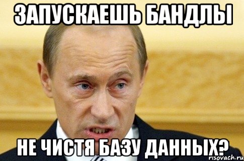 запускаешь бандлы не чистя базу данных?, Мем путин