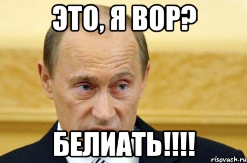 это, я вор? белиать!!!, Мем путин