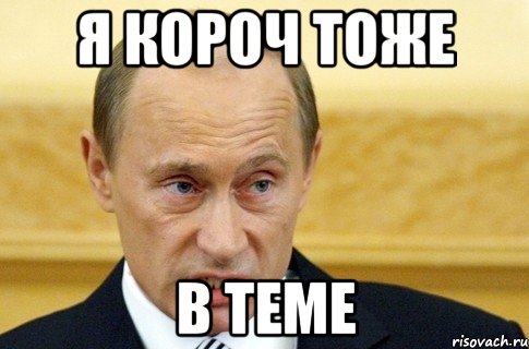 я короч тоже в теме, Мем путин