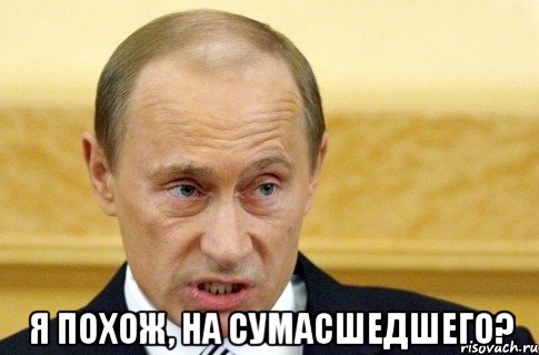  я похож, на сумасшедшего?, Мем путин