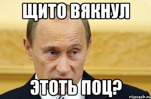 щито вякнул этоть поц?, Мем путин