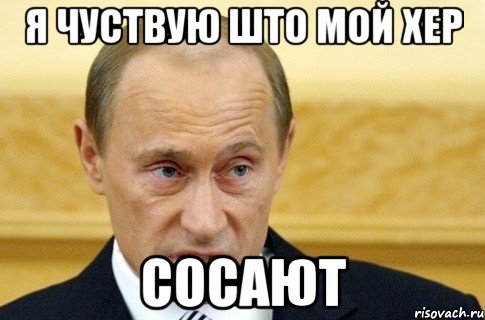 я чуствую што мой хер сосают, Мем путин