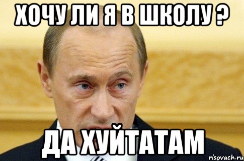 хочу ли я в школу ? да хуйтатам, Мем путин