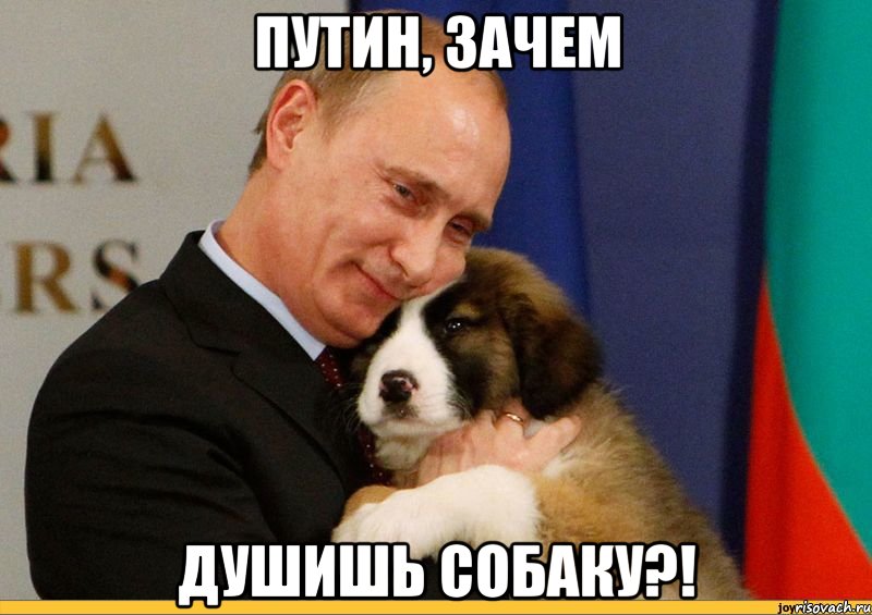 путин, зачем душишь собаку?!, Мем путинг