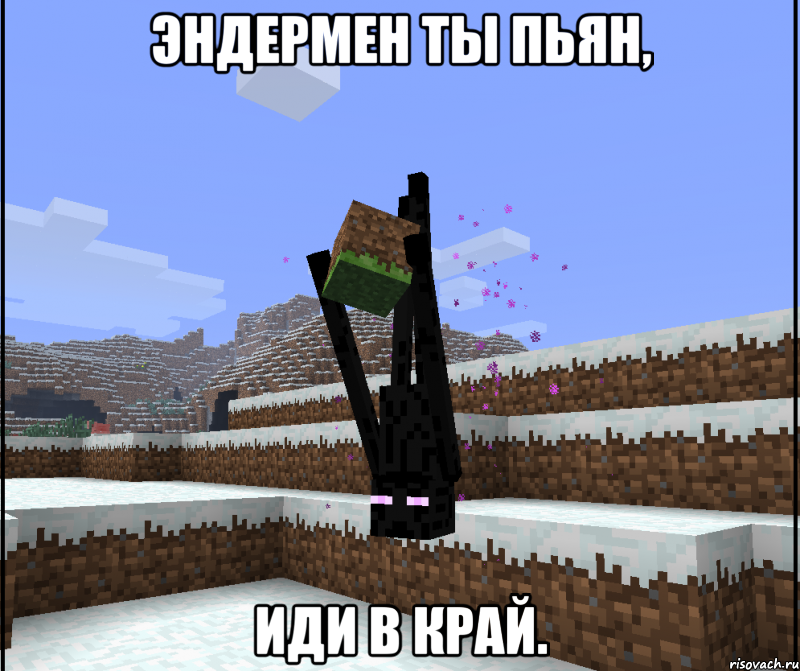 эндермен ты пьян, иди в край.