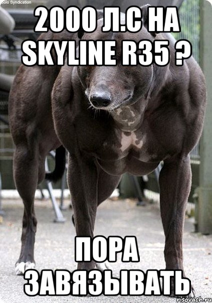 2000 л.с на skyline r35 ? пора завязывать, Мем пёс