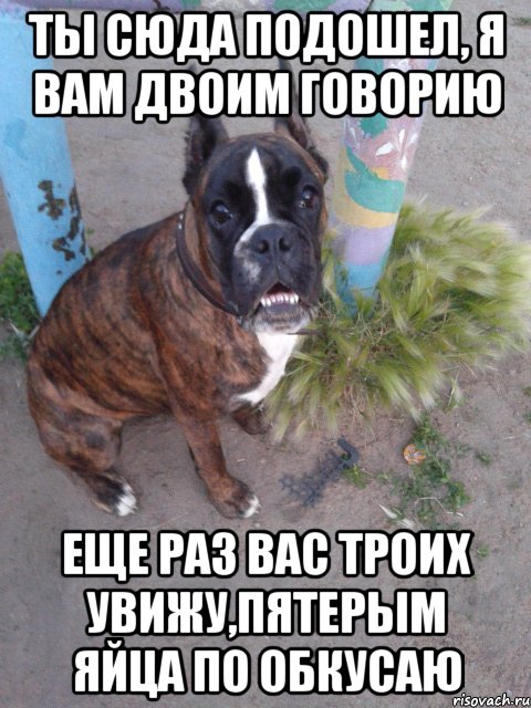 ты сюда подошел, я вам двоим говорию еще раз вас троих увижу,пятерым яйца по обкусаю, Мем Руся