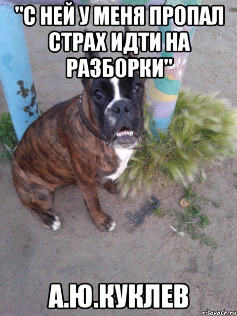 "с ней у меня пропал страх идти на разборки" а.ю.куклев, Мем Руся